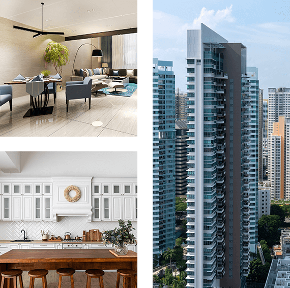 Ripple XRP Price in Dollar